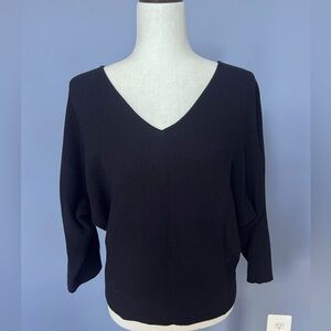 🌸 2 for $10 🌸 Black V-Neck Staple Sweater